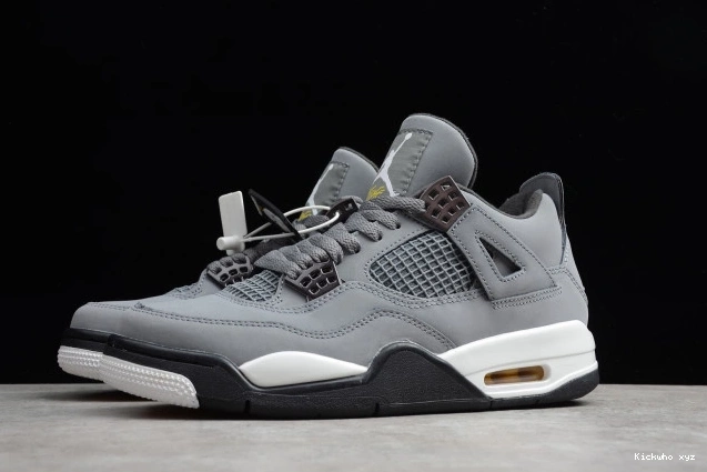 Cool Retro 308497-007 Grey Jordan (2019) Air 4 0521